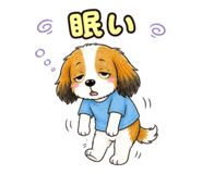 857540484