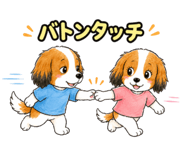 857540489