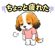 857540494