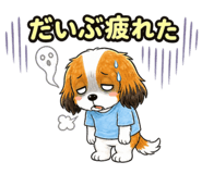 857540495
