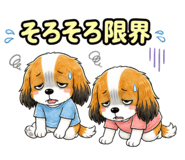 857540496