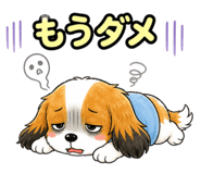 857540497