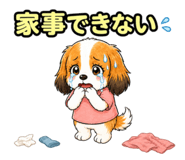 857540507