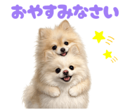 857543767