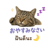 857547999