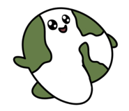 857550255