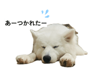 857550500