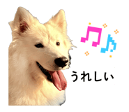 857550501