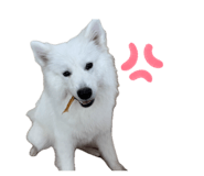857550504