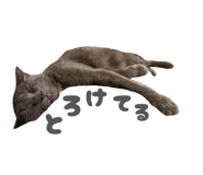 857550650