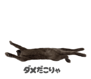 857550657