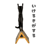 857550658