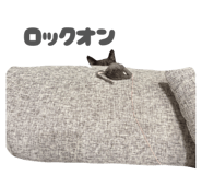 857550660