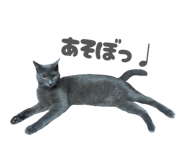 857550661
