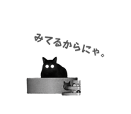 857550663