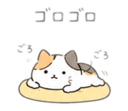 857551719