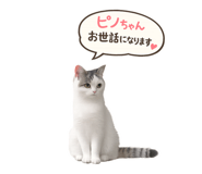 857552060