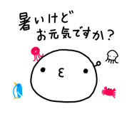 857552525
