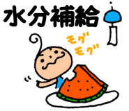 857552545