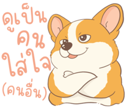 ชิบะอ้วงอ้วน ตัวป่วน รูปที่ 3