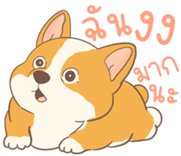 ชิบะอ้วงอ้วน ตัวป่วน รูปที่ 8
