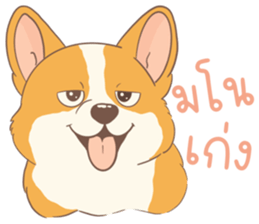 ชิบะอ้วงอ้วน ตัวป่วน รูปที่ 12