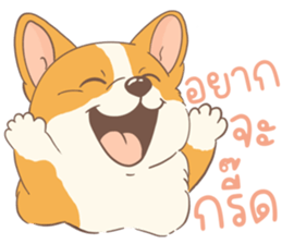 ชิบะอ้วงอ้วน ตัวป่วน รูปที่ 13
