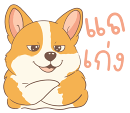 ชิบะอ้วงอ้วน ตัวป่วน รูปที่ 14