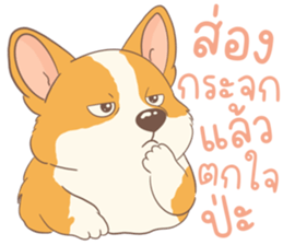 ชิบะอ้วงอ้วน ตัวป่วน รูปที่ 20