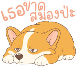 ชิบะอ้วงอ้วน ตัวป่วน รูปที่ 22