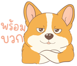 ชิบะอ้วงอ้วน ตัวป่วน รูปที่ 25