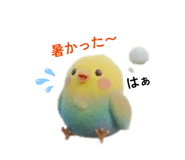 857553225