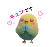 857553236