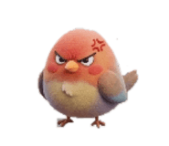 857553242