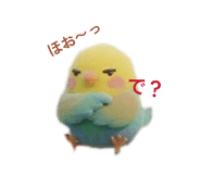857553243