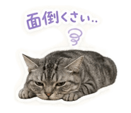 857553766