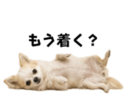 857553785