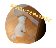 857553825