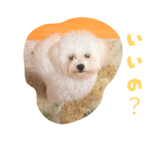 857553832