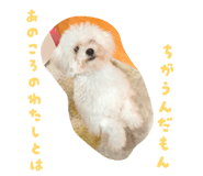 857553833