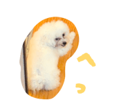 857553838
