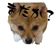857555465