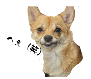 857555468