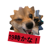 857555472