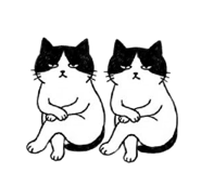 857555705