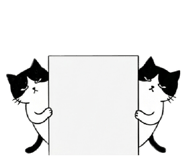 857555713