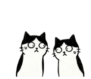 857555726