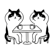 857555741