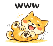 857555954