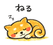 857555961
